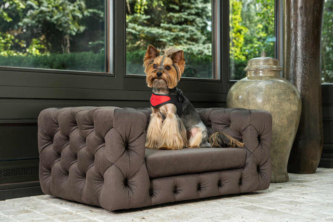 LUXURY PET BEDS - WHY IS IT A SENSIBLE CHOICE?