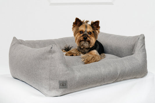 TOP 5 FEATURES TO LOOK FOR IN A HIGH QUALITY PET BED