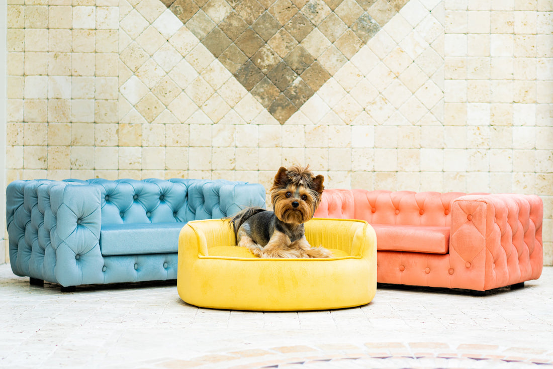 CHOOSING THE RIGHT DOG BED FOR YOUR DOG