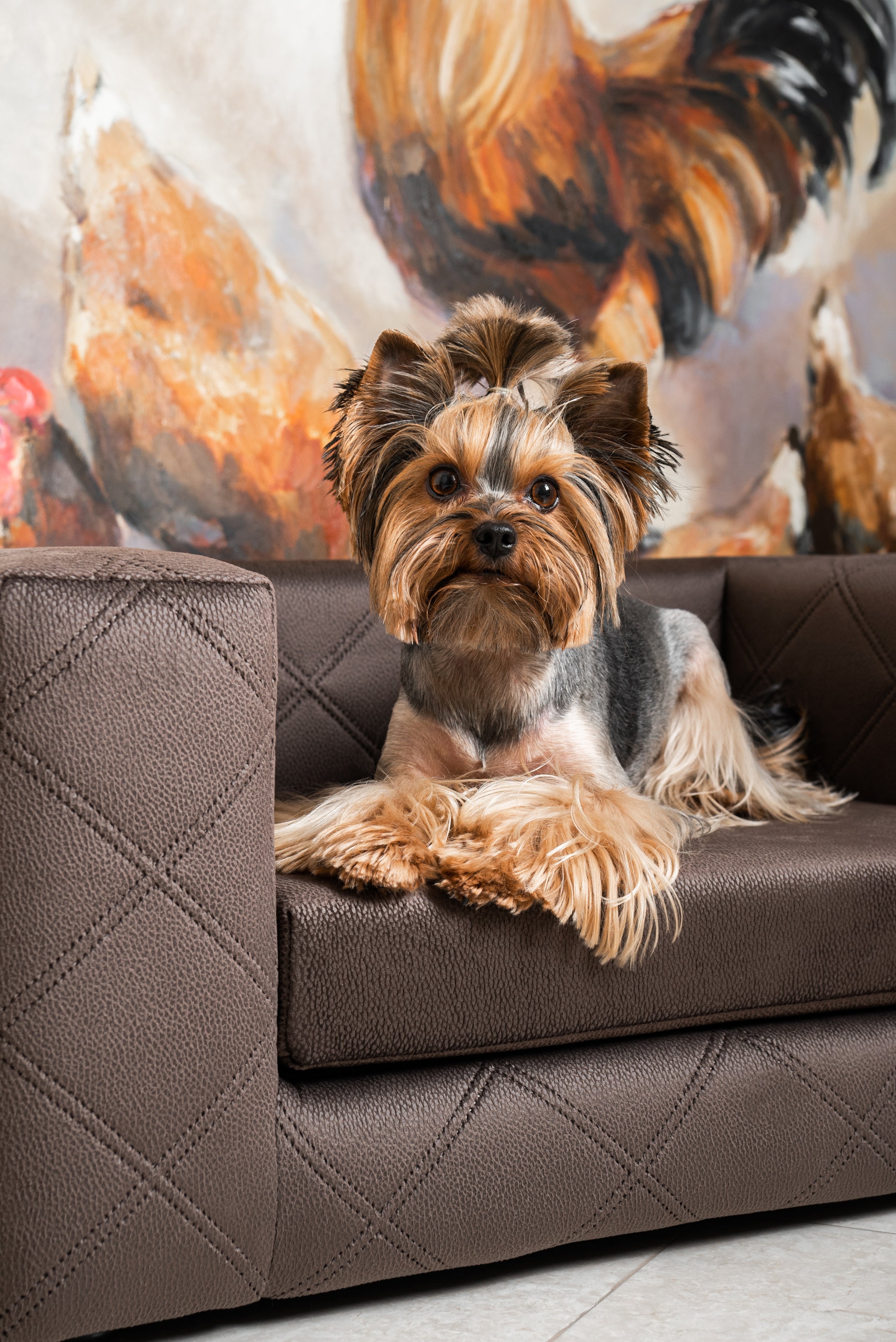 Luxury Dog Sofas Pet Empire